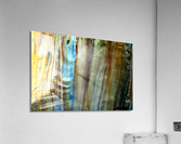 RA024 Acrylic Print
