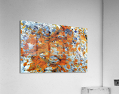 RA032 Acrylic Print