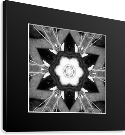 AB009 Canvas Print