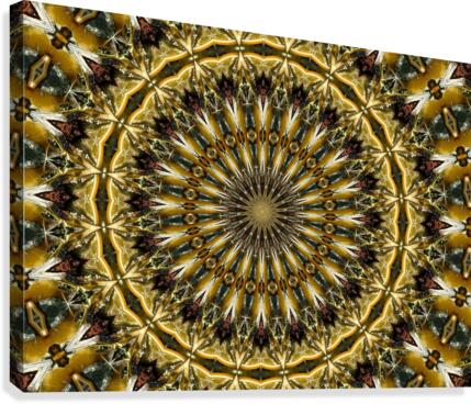 AB043 Canvas Print