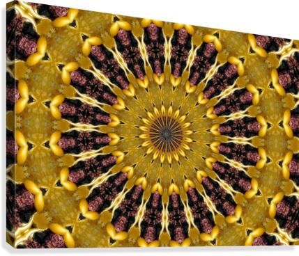 AB044 Canvas Print