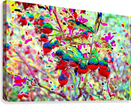 AB049 Canvas Print