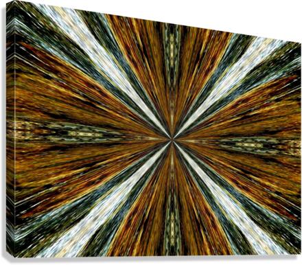 AB050 Canvas Print