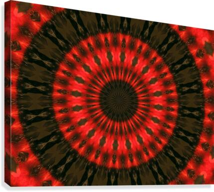 AB025 Canvas Print