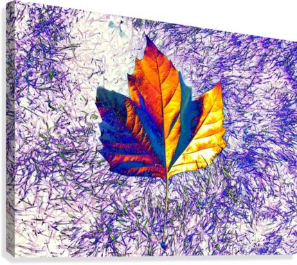 AB063 Canvas Print