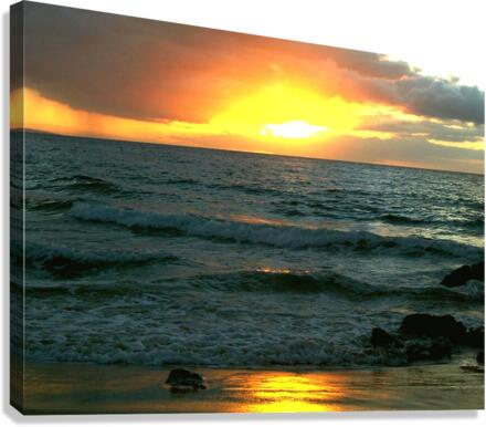 LS012 Canvas Print