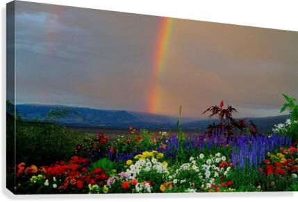 LS032 Canvas Print