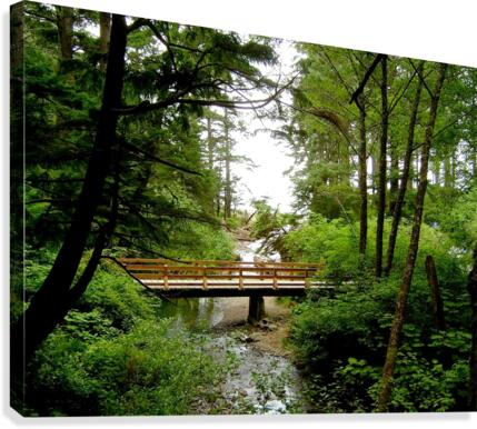 LS045 Canvas Print