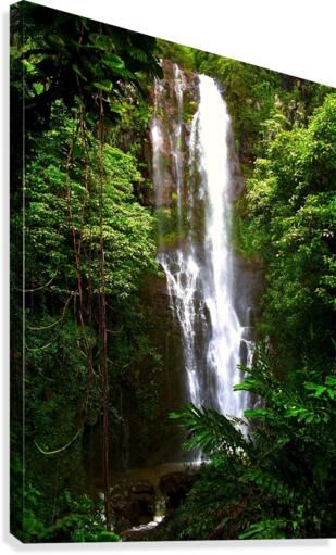 LS014 Canvas Print