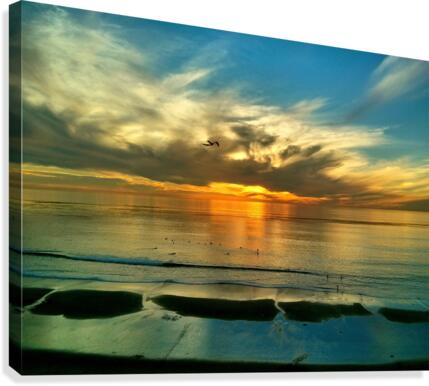 OS002 Canvas Print