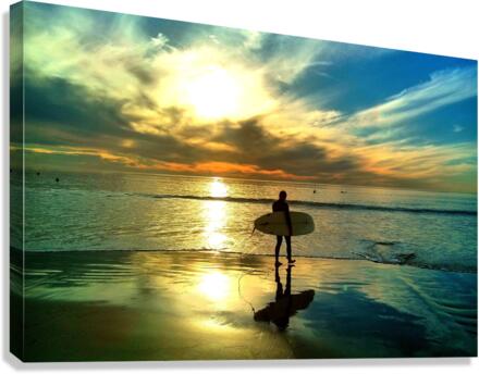 OS004 Canvas Print