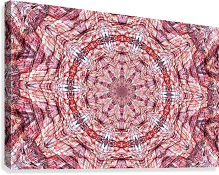 RA021 Canvas Print