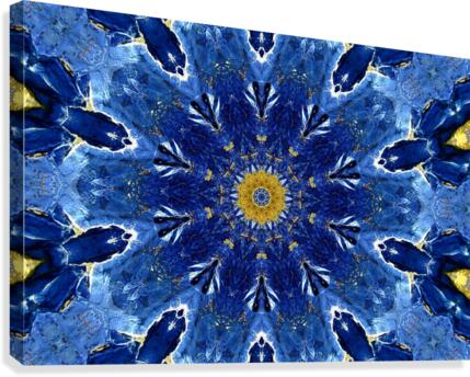 RA012 Canvas Print