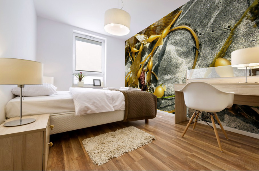AB026 Mural print