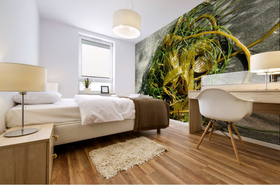 AB029 Mural print