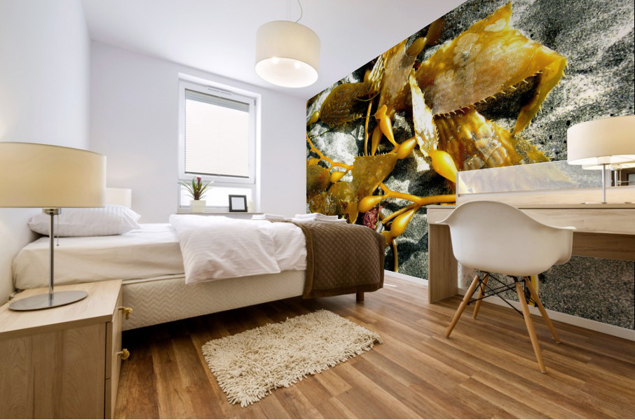 AB027 Mural print