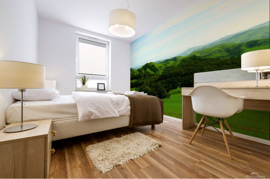 LS038 Mural print