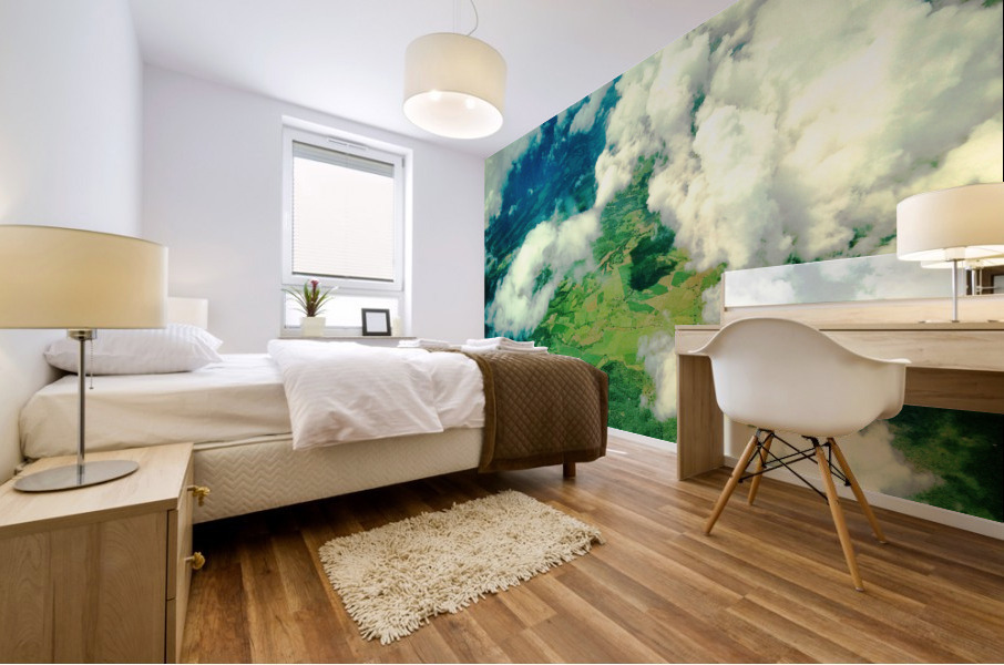 LS044 Mural print