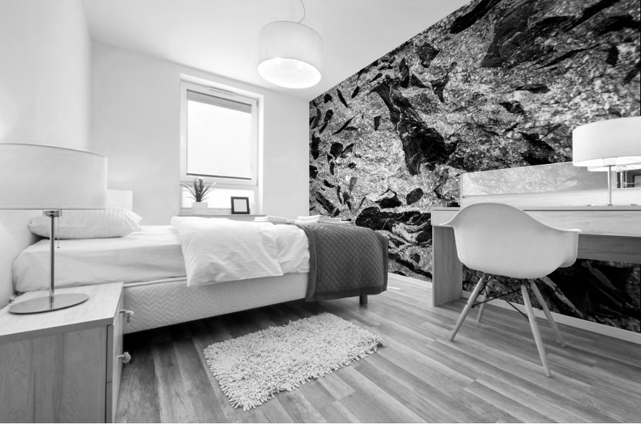 RA015 Mural print