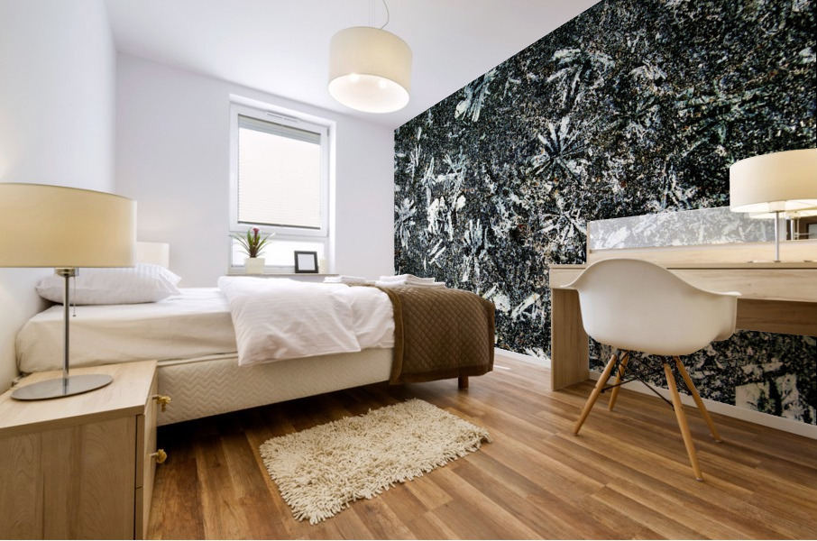 RA033 Mural print