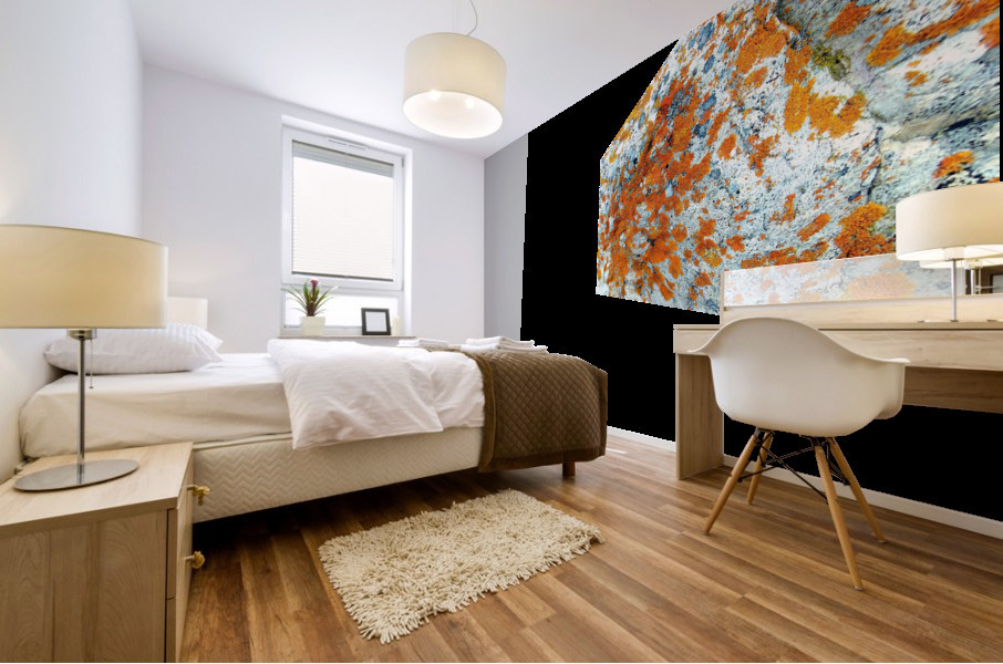 RA006 Mural print