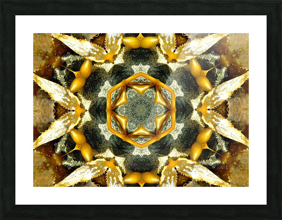 AB046 Picture Frame print