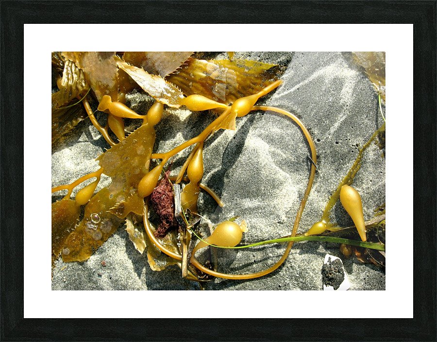 AB026 Picture Frame print