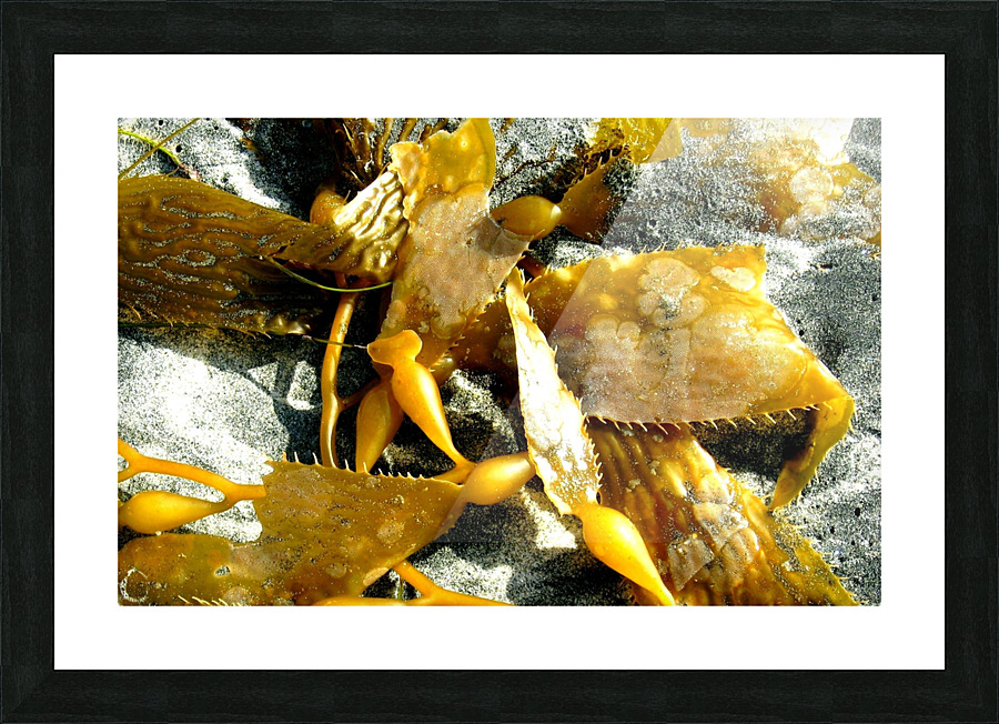 AB028 Picture Frame print