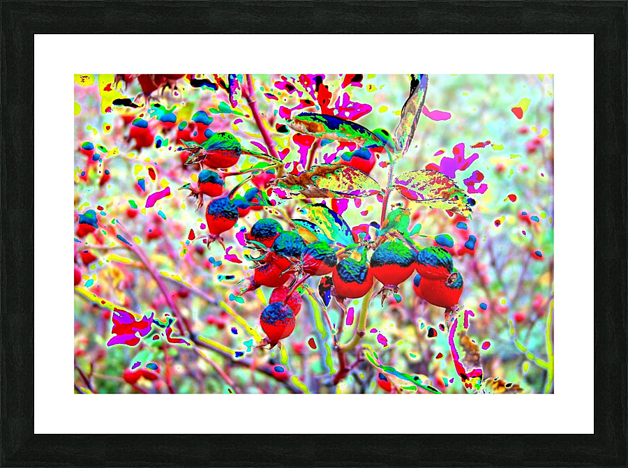 AB049 Picture Frame print