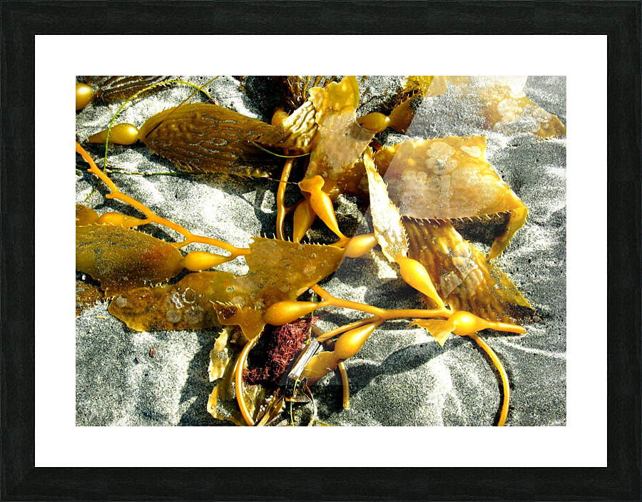 AB027 Picture Frame print