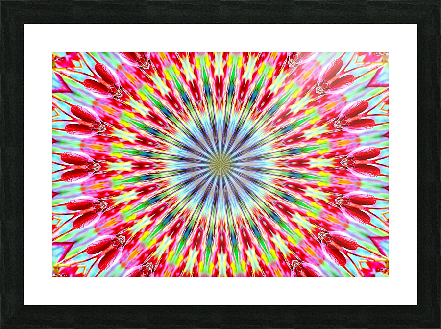 AB039 Picture Frame print