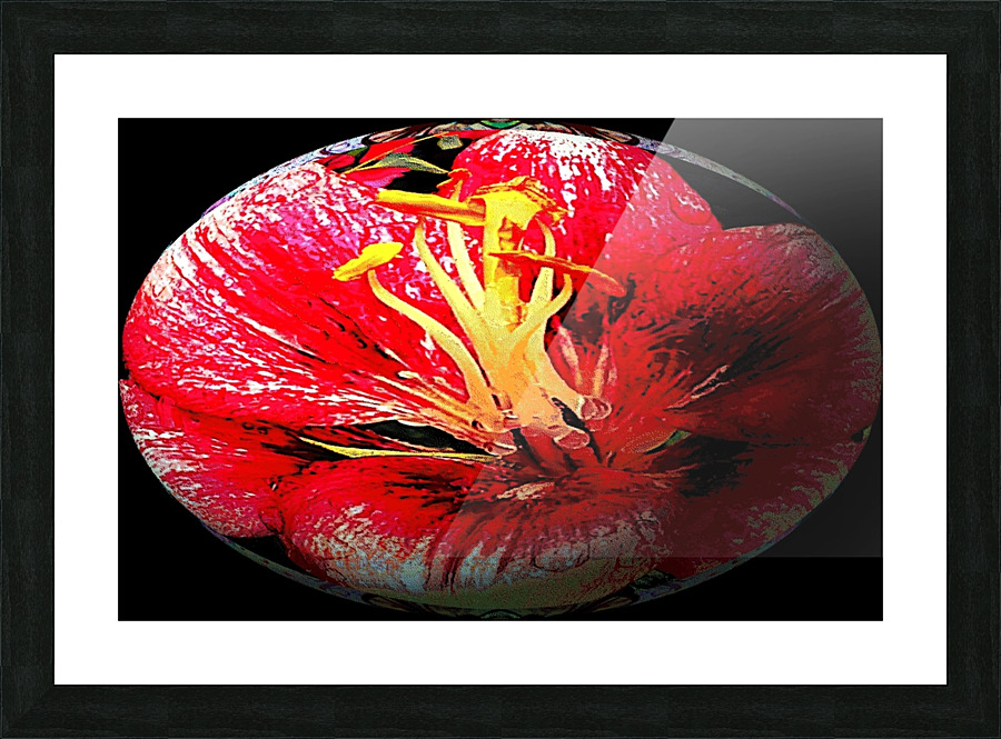 AB082 Picture Frame print