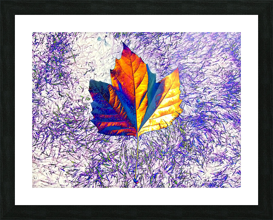 AB063 Picture Frame print
