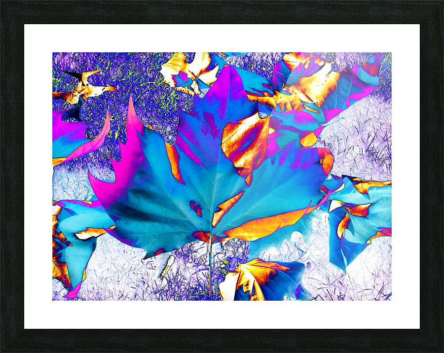 AB064 Picture Frame print