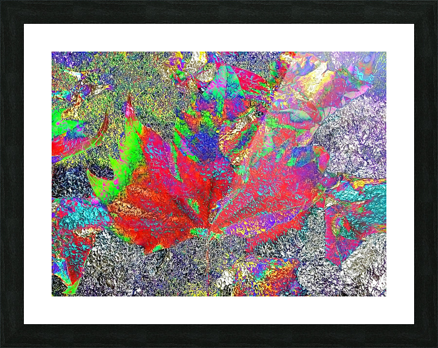 AB065 Picture Frame print