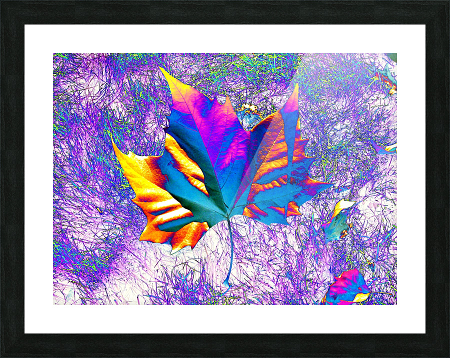 AB061 Picture Frame print