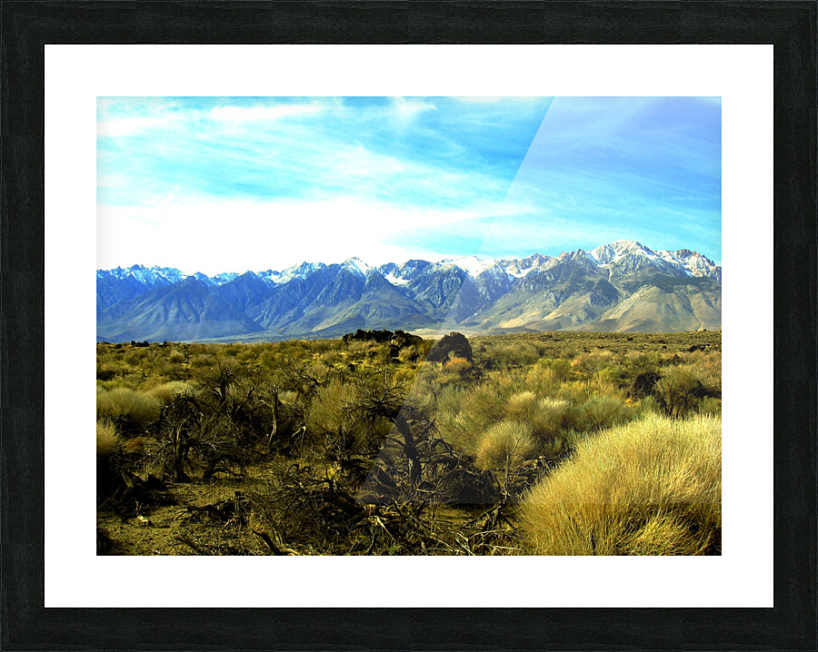 LS024 Picture Frame print