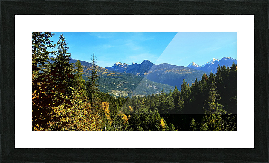 LS050 Picture Frame print