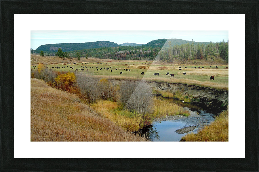 LS034 Picture Frame print