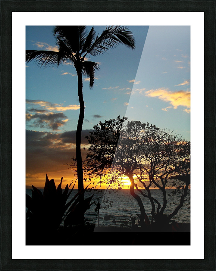 LS010 Picture Frame print