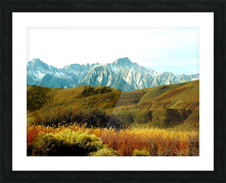 LS025 Picture Frame print