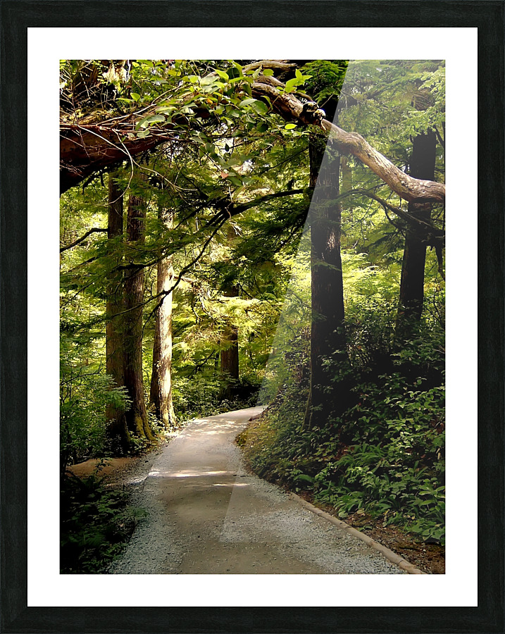 LS049 Picture Frame print