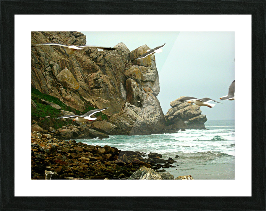 LS035 Picture Frame print