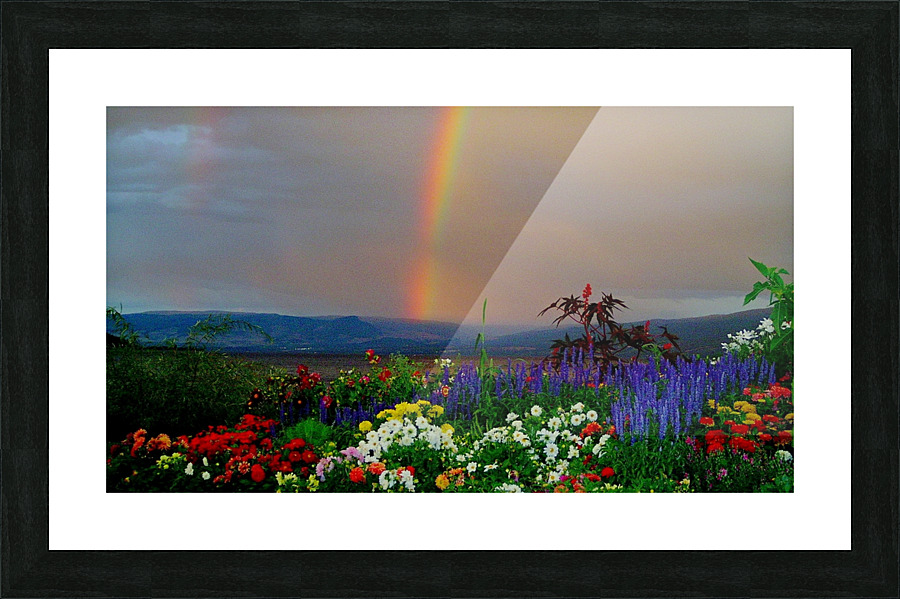 LS032 Picture Frame print