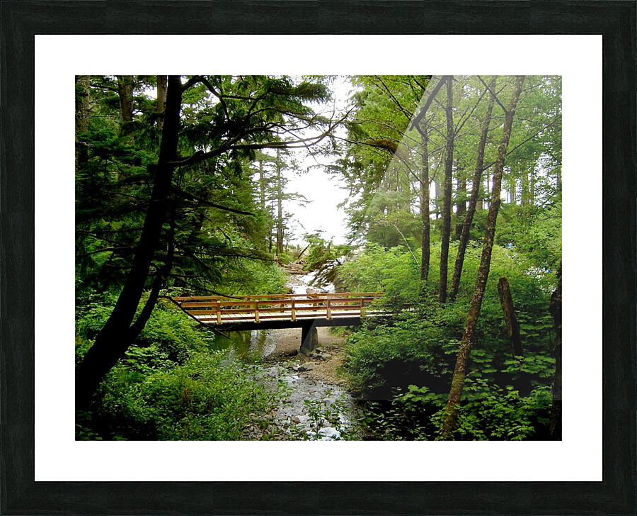 LS045 Picture Frame print
