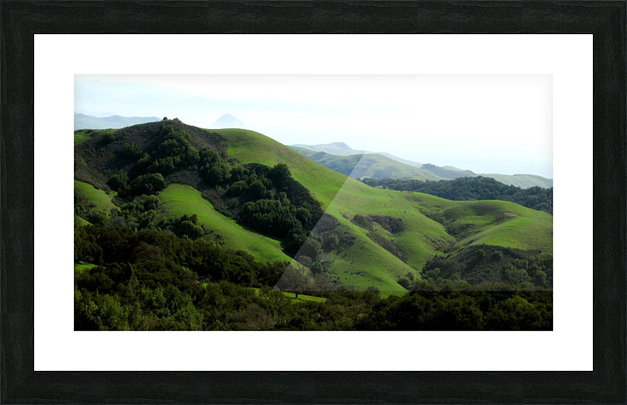 LS039 Picture Frame print
