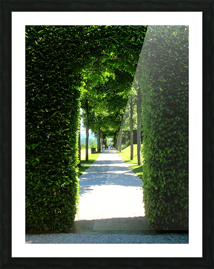 LS042 Picture Frame print
