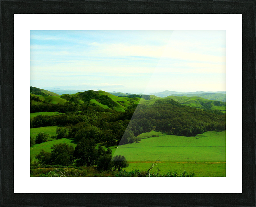 LS038 Picture Frame print