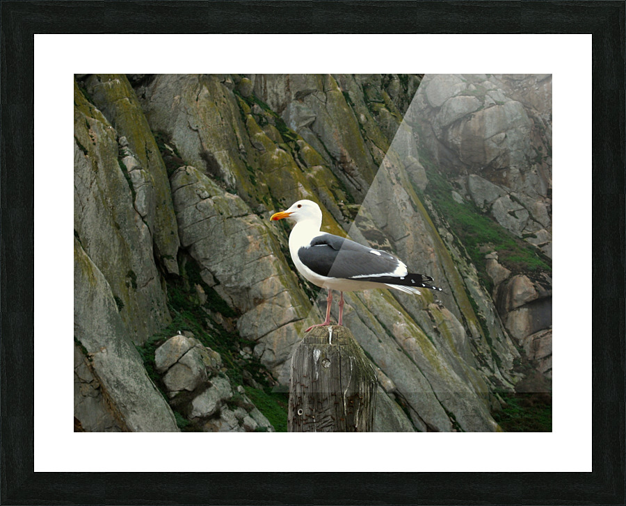 LS036 Picture Frame print