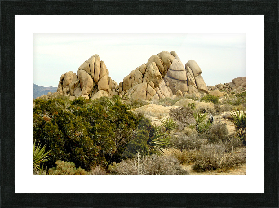 LS006 Picture Frame print
